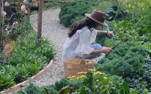 Cô gái 9X tự tay tạo “khu vườn năng lượng” sau khi gặp biến cố về sức khỏe