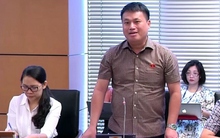 Đại biểu Quốc hội: Nhiều "đại gia" đều có 1 ngân hàng phía sau