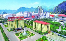 Xi măng Xuân Thành báo lỗ 30 tỷ năm 2022, khối tài sản tỷ đô được tạo nên chủ yếu từ 16.000 tỷ nợ phải trả
