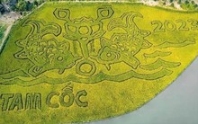 DN đằng sau bức tranh "Lý ngư vọng nguyệt'' trên cánh đồng lúa 10.000 m2 đẹp nhất Việt Nam: Đại gia của những siêu dự án tâm linh tỷ đô