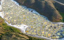 Hồ nước độc lạ nhất thế giới khiến những người mắc 'hội chứng sợ lỗ' phải rùng mình