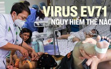 Virus gây bệnh tay chân miệng đã trở lại: EV71 nguy hiểm thế nào?