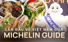 Những câu hỏi dành cho Michelin Guide