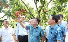 Không mua theo cân, Bộ trưởng Lê Minh Hoan đặt cả cây vải thiều xuất Nhật