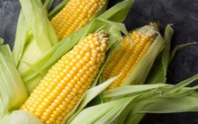 Bộ phận cực quý của bắp ngô, pha nước uống là 'thuốc lọc mỡ máu tự nhiên', nhiều người vứt bỏ