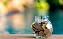 Tử vi 12 con giáp 9/6: Tý, Thân tin vui tới tấp