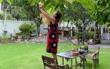 5 lưu ý quan trọng để mua nhà theo ý muốn khi bước vào tuổi nghỉ hưu