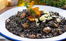 Thứ bên trong con mực giúp chống ung thư được người Nhật chuộng dùng