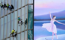 "Người nhện" ở Hà Nội đu mình trên những tòa nhà chọc trời để mưu sinh