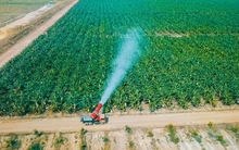 Sau ít năm đi trồng cây, chăn nuôi, Thaco Agri trở thành công ty nông nghiệp tư nhân có tài sản top đầu Việt Nam với gần 40.000 tỷ, năm 2022 vẫn lỗ gần 900 tỷ