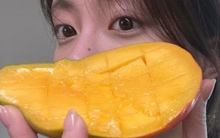 Xoài ngon và tốt, mùa hè rất nhiều nhưng có 5 kiểu người ăn vào hóa hại