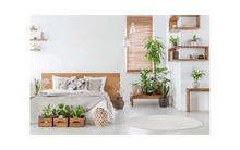 4 thứ KHÔNG đặt trong phòng ngủ: Số 4 nếu ‘quá liều’ có thể gây bỏng mũi, bỏng mắt, co thanh quản…