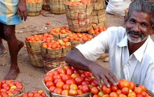 Một loại thực phẩm quan trọng giá bất ngờ tăng 445%, đắt hơn cả xăng khiến Ấn Độ "đau đầu"