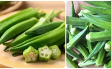 Đậu bắp được ví là 'nhân sâm xanh' nhưng lại đại kỵ với 4 nhóm người sau