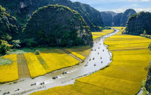 Cập nhật mới nhất giá vé các điểm du lịch ở Ninh Bình