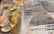 Nhờ em gái đi mua sò lụa “giật mình bởi giá 1 triệu 7 cho 2kg' và lời phản hồi từ nhà hàng