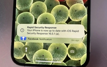 Apple xác nhận bản cập nhật iOS khiến iPhone không thể truy cập Facebook, Instagram, Zoom: Đây là cách để gỡ bỏ