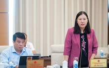 Phụ huynh 'trắng đêm' xếp hàng nộp hồ sơ, có phải thiếu trầm trọng trường công?