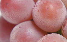 Vì sao nho đắt nhất thế giới lại có giá rẻ bất ngờ?