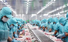 Phó Thủ tướng yêu cầu gia hạn, miễn thuế cho doanh nghiệp lâm - thủy sản