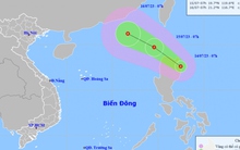 Áp thấp nhiệt đới mạnh lên thành bão, giật cấp 11 trong những ngày tới