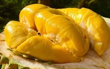 Loại trái cây bán đầy chợ Việt Nam sang Trung Quốc thành quà tặng xa xỉ thể hiện đẳng cấp, khiến người nhận nở mày nở mặt