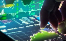 Bán “chui” 12,2 triệu cổ phiếu HHV, tổ chức liên quan đến thành viên HĐQT Đèo Cả bị phạt 1,83 tỷ đồng