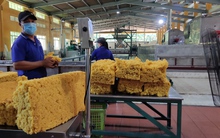 Bị "giam" tiền hoàn thuế, doanh nghiệp kiệt sức