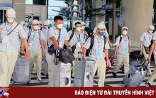 Thu hồi giấy phép 4 doanh nghiệp đưa người đi xuất khẩu lao động