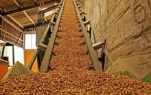 Giá viên nén gỗ lao dốc sau cơn sốt: Nhiều DN Việt sản xuất dưới giá vốn, ngừng hoạt động, ông chủ Gỗ An Cường đã đúng?