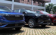 Loạt ảnh đầu tiên của Haval H6 về đại lý tại Hà Nội cho thấy nhiều trang bị hiện đại của mẫu xe có giá dự kiến gần 1,1 tỷ, ngang cỡ CX-5, CR-V