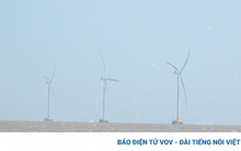 Tiền Giang xây dựng 5 dự án điện gió tại vùng ven biển