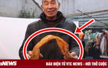 Ngư dân phơi bong bóng cá rồi bỏ quên, 38 năm sau biến thành thứ giá trị tiền tỷ