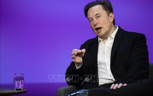 Doanh thu quảng cáo của Twitter giảm 50%