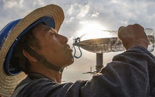 Trong 1 đêm, 462 con lợn bị sốc nhiệt khiến chủ trang trại 'gánh nợ' 3,2 tỷ đồng