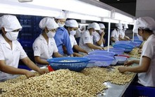 3 doanh nghiệp Việt nghi bị khách ở UAE lừa đảo