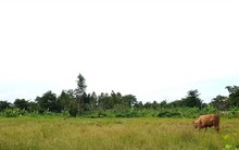 Cần Thơ: Vì sao dự án Vành đai phía Tây chậm tiến độ?