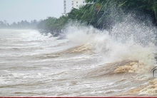 Bão số 1 tiếp tục suy yếu, cách Móng Cái 100 km