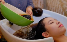 Được mệnh danh là “vua của các loại thảo mộc”, ngải cứu sau khi phơi khô có 4 tác dụng thần kỳ