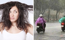 Mùa mưa, cẩn trọng loạt hệ lụy sức khỏe kéo theo khi dùng mũ bảo hiểm, áo mưa ẩm hôi
