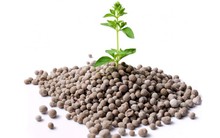 Lợi nhuận 6T2023 của DAP-Vinachem (DDV) không bằng 1 ngày của năm trước khi giá phân bón giảm 40%