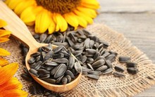 Nhâm nhi vài hạt hướng dương sẽ tốt cho sức khỏe, nhưng ăn quá nhiều lại gây ra tác hại không ngờ