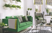 Cải thiện không gian phòng khách trong lành, tươi mát với những ý tưởng trồng cây xanh