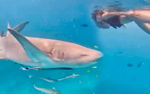 Du khách Việt kể chuyện tới "quốc đảo thiên đường", trải nghiệm hoạt động "chỉ dành cho ai gan dạ"