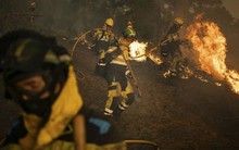 "Báo động đỏ" ở châu Âu: Nhiệt độ cao phá vỡ các kỷ lục