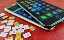 TP HCM: Thanh tra 5 chi nhánh doanh nghiệp viễn thông trên địa bàn