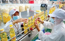 Sau quý lãi kỷ lục hơn 1.200 tỷ đồng, Vocarimex báo lỗ trong quý 2/2023