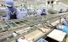 Gói tín dụng 15.000 tỷ đồng - “Liều thuốc” giúp doanh nghiệp thủy sản vượt khó