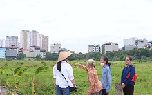 “Ngóng” 15 năm vẫn chưa được giao đất dịch vụ