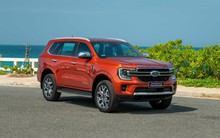 Toàn thị trường giảm sâu, một mẫu xe vẫn ngược dòng tăng 122% doanh số nửa đầu năm